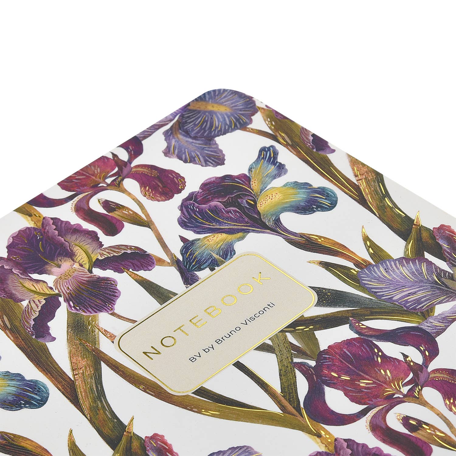 BV Notebooks by Bruno Visconti
