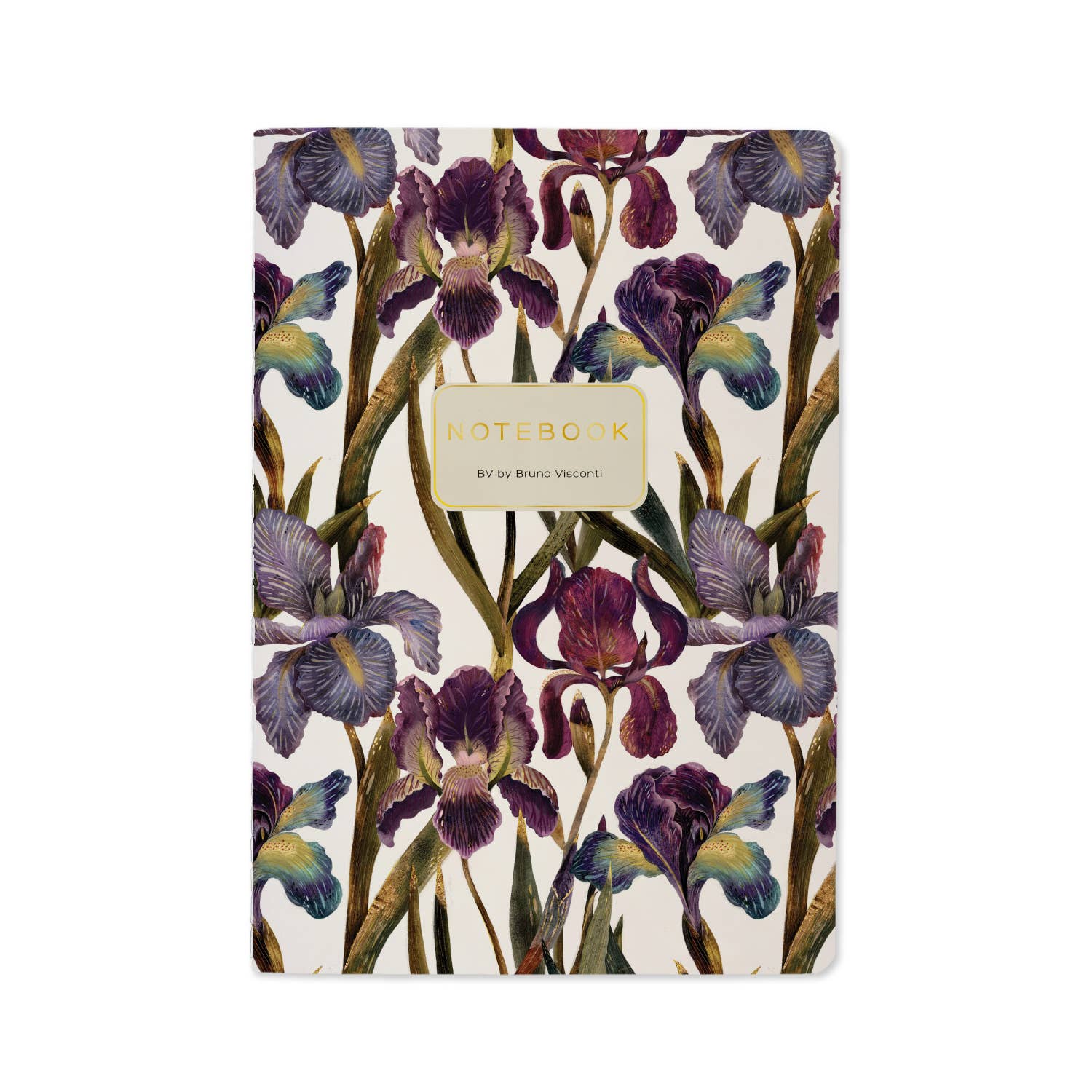 BV Notebooks by Bruno Visconti