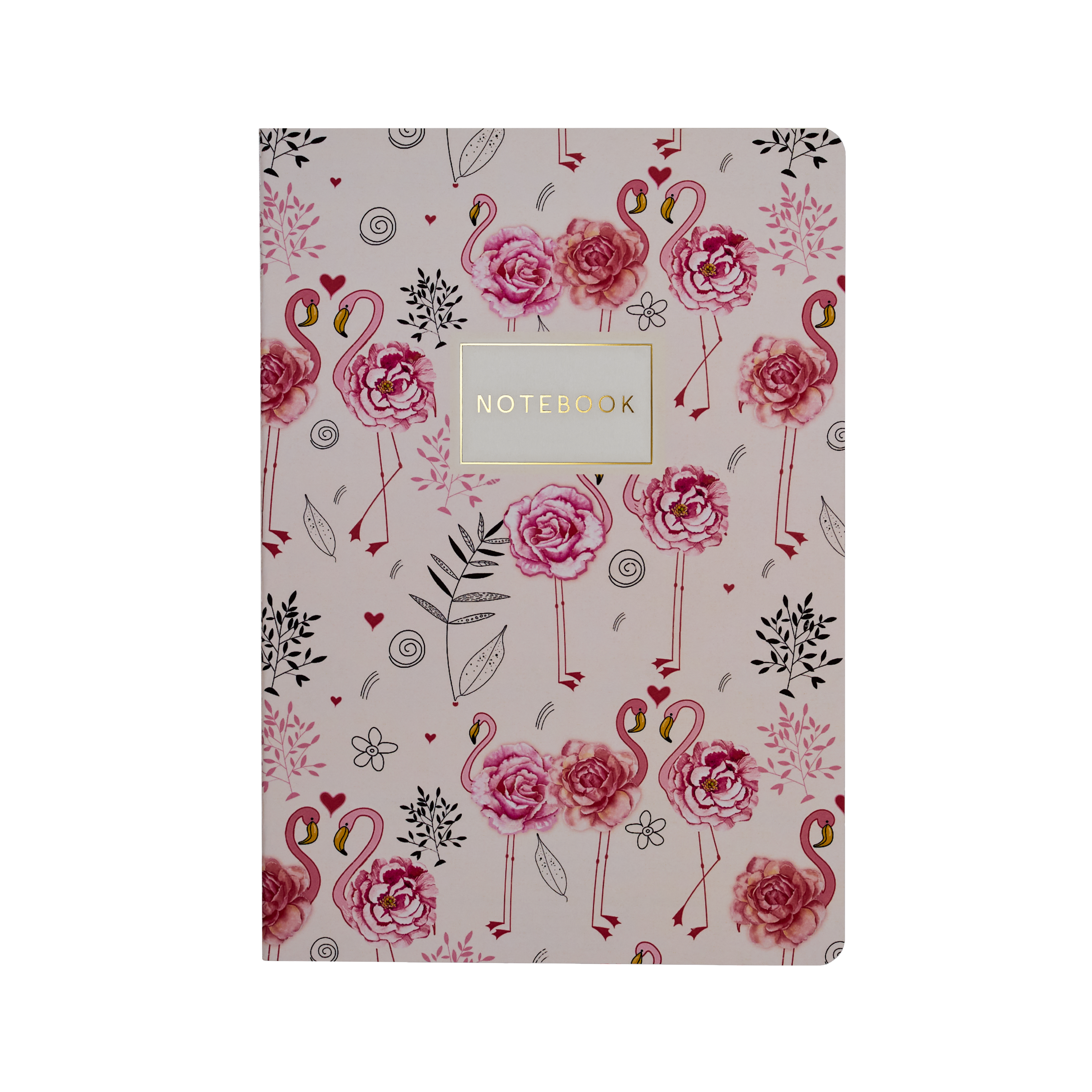 BV Notebooks by Bruno Visconti