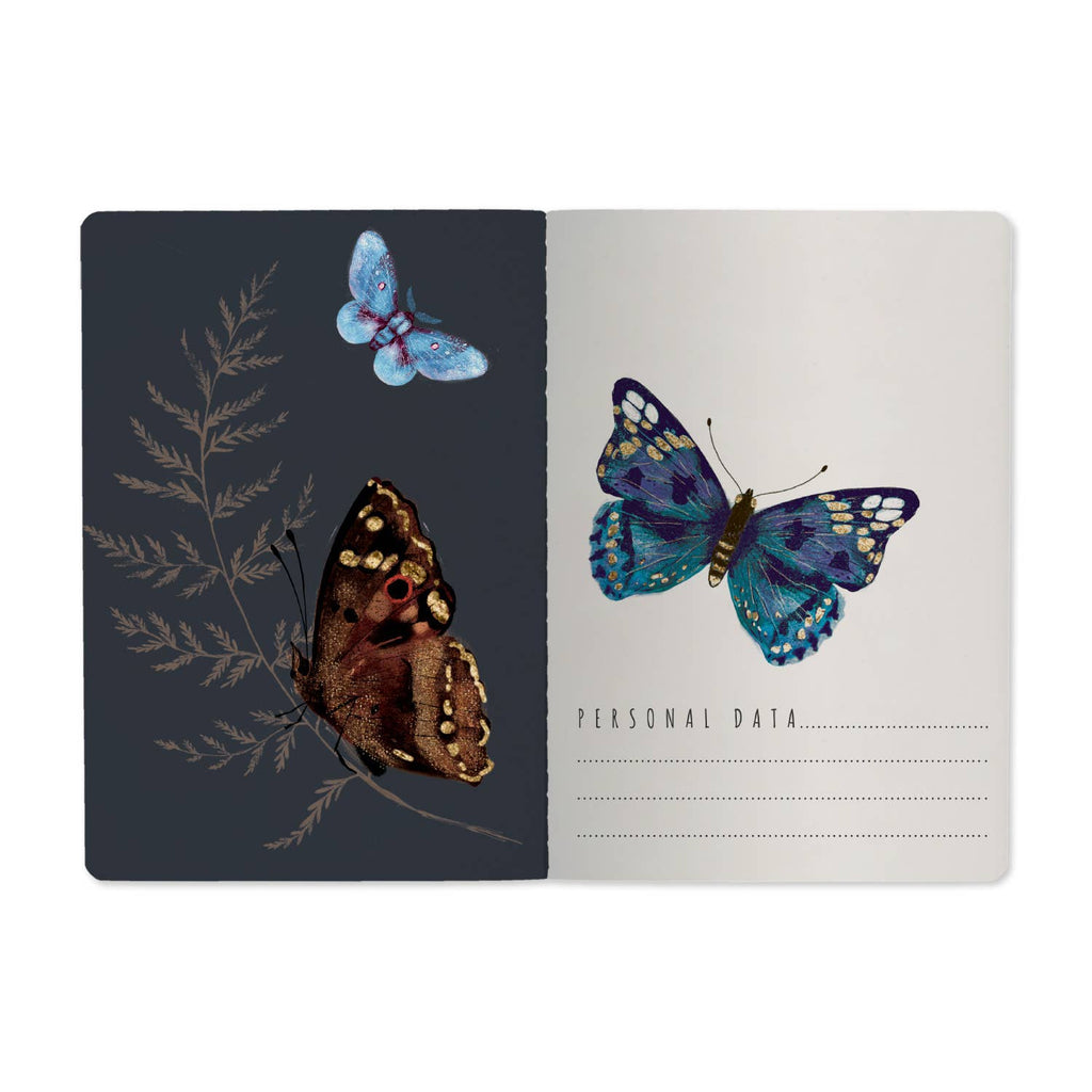 BV Notebooks by Bruno Visconti