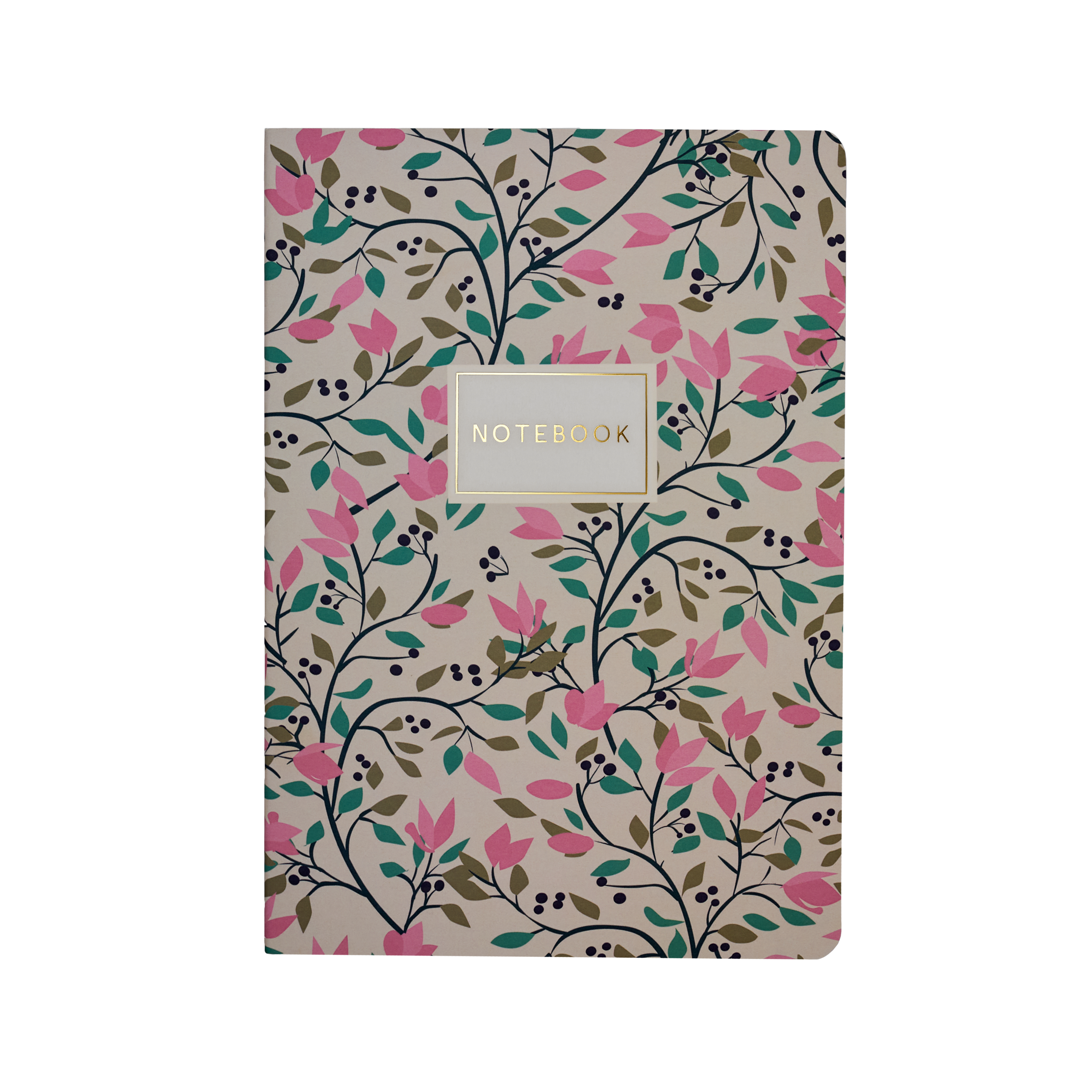 BV Notebooks by Bruno Visconti