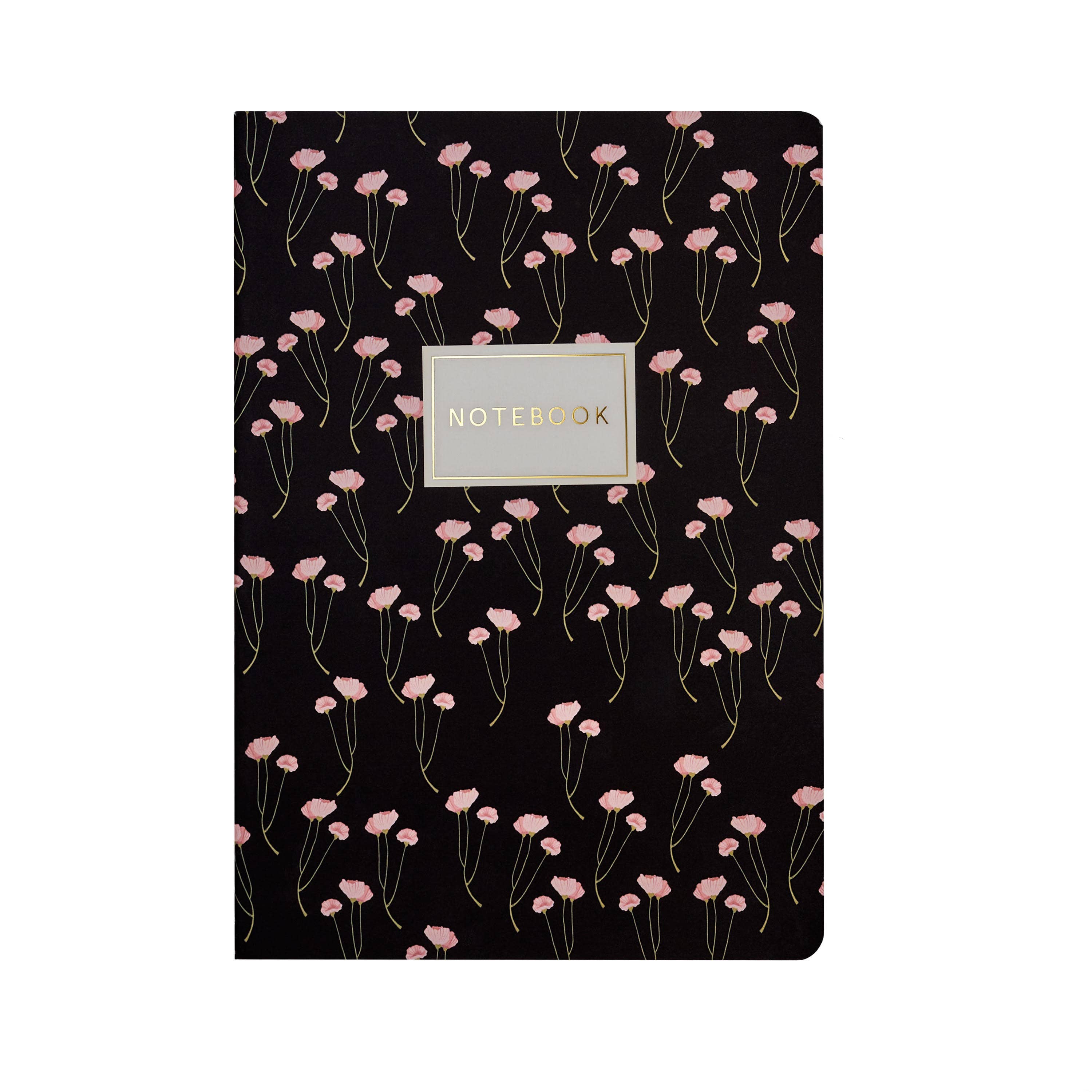BV Notebooks by Bruno Visconti