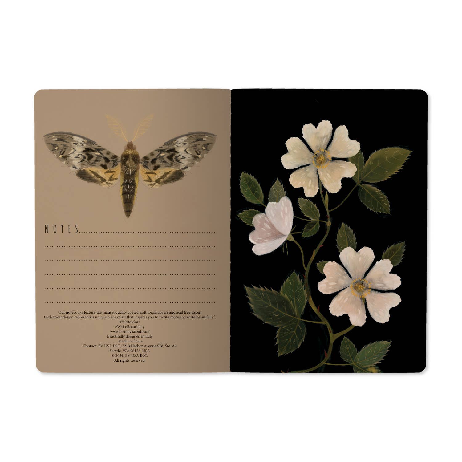 BV Notebooks by Bruno Visconti