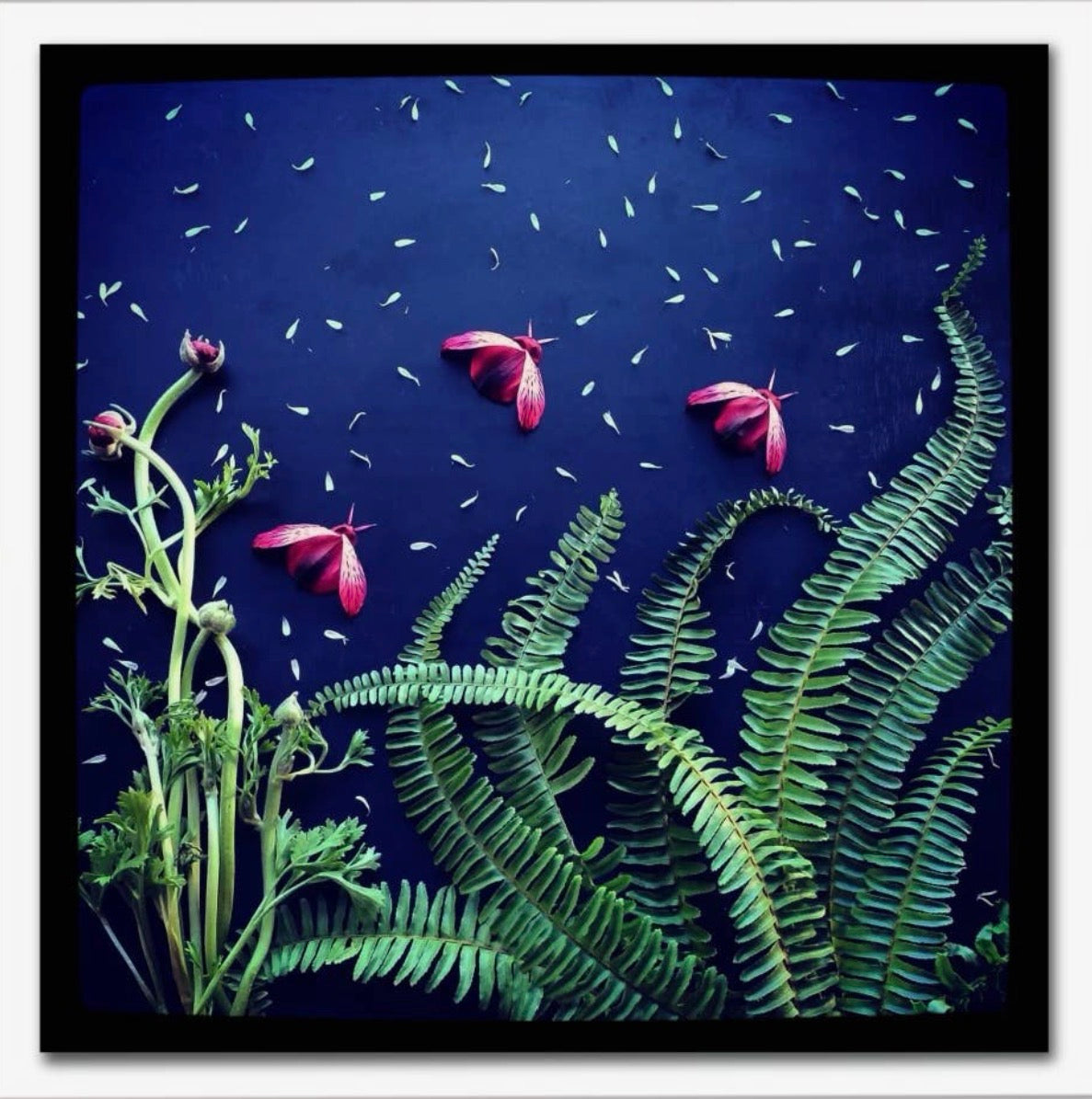 Nature Art Greeting Cards