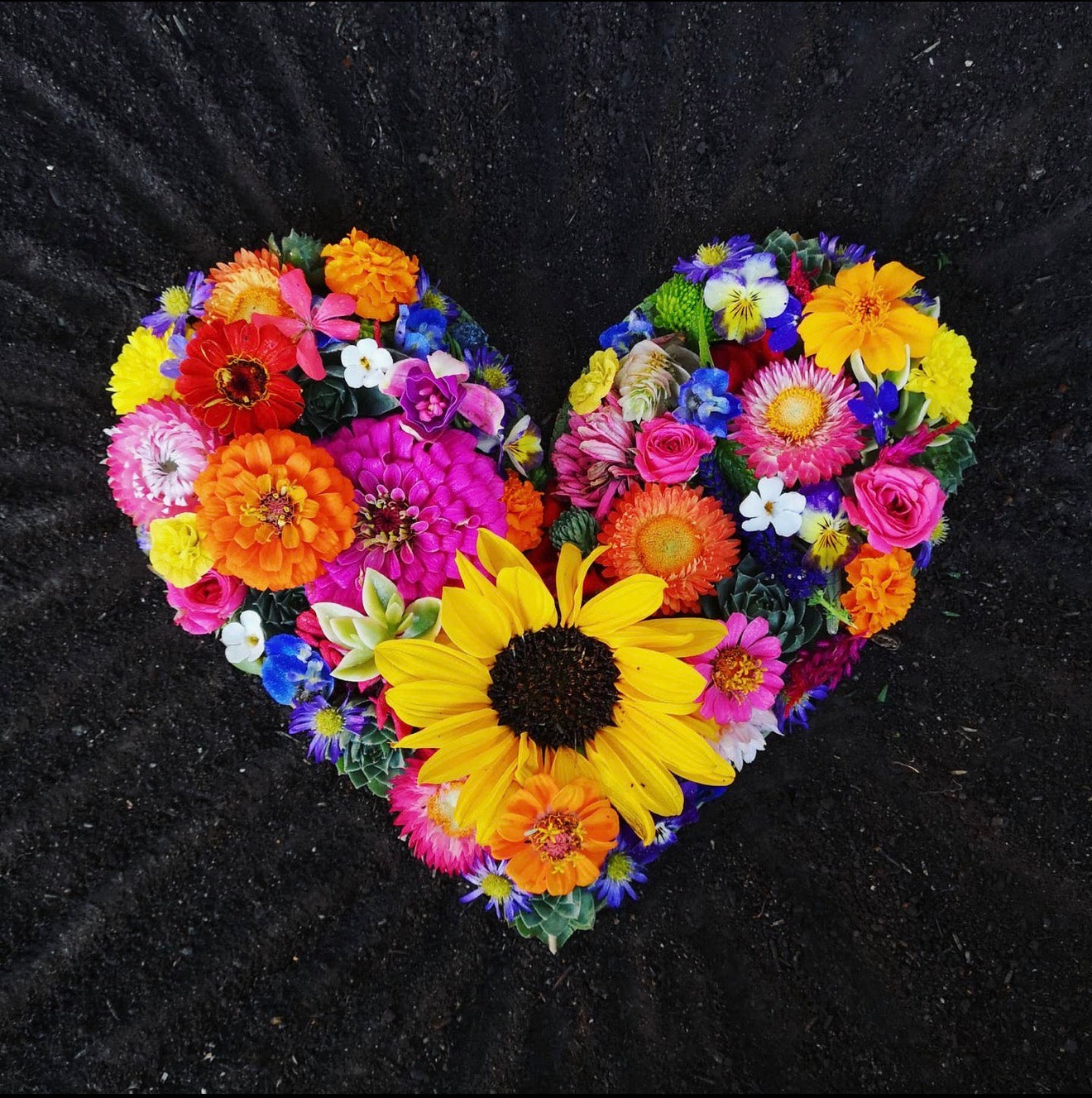 Nature Art Greeting Cards