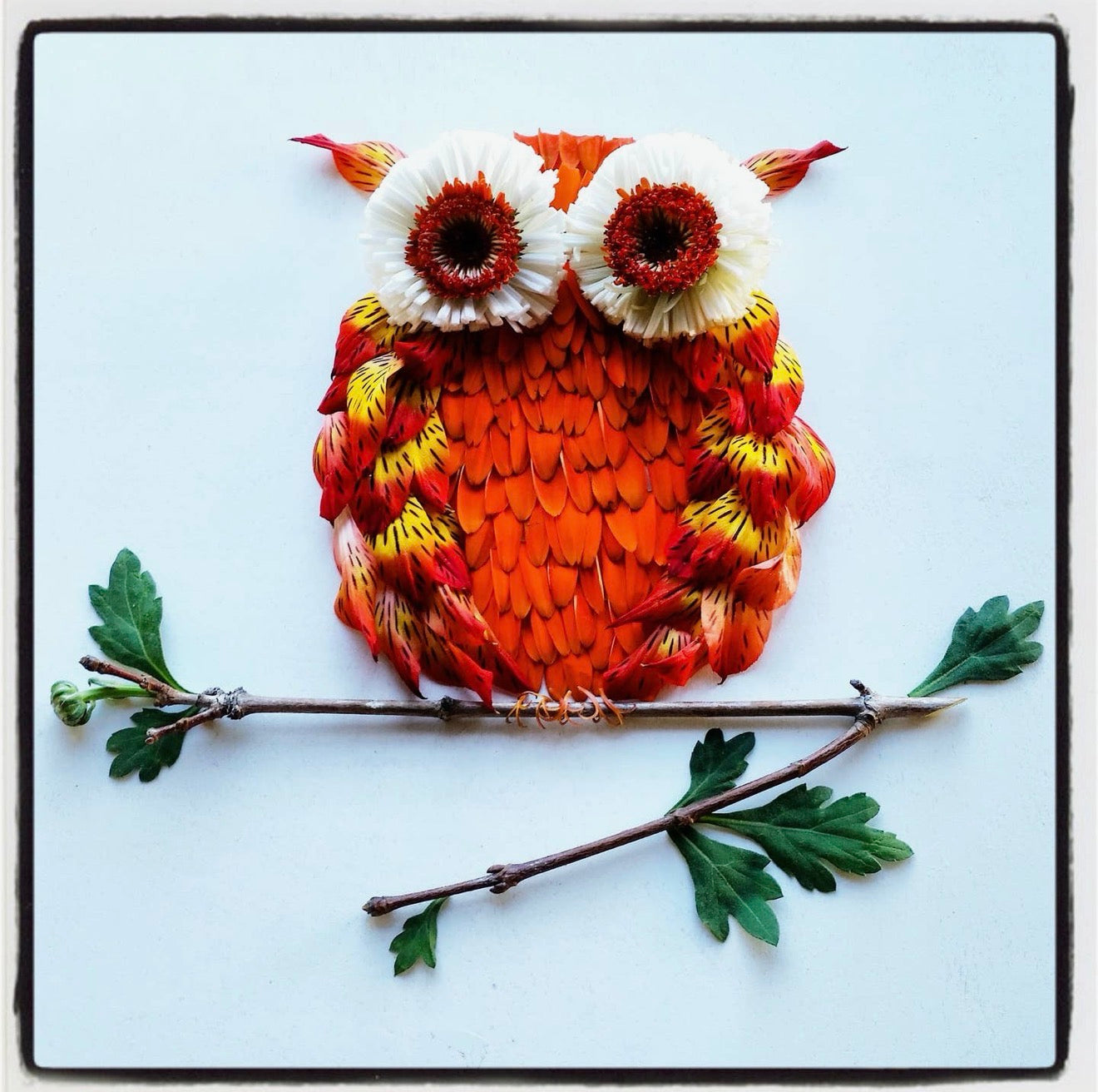 Nature Art Greeting Cards