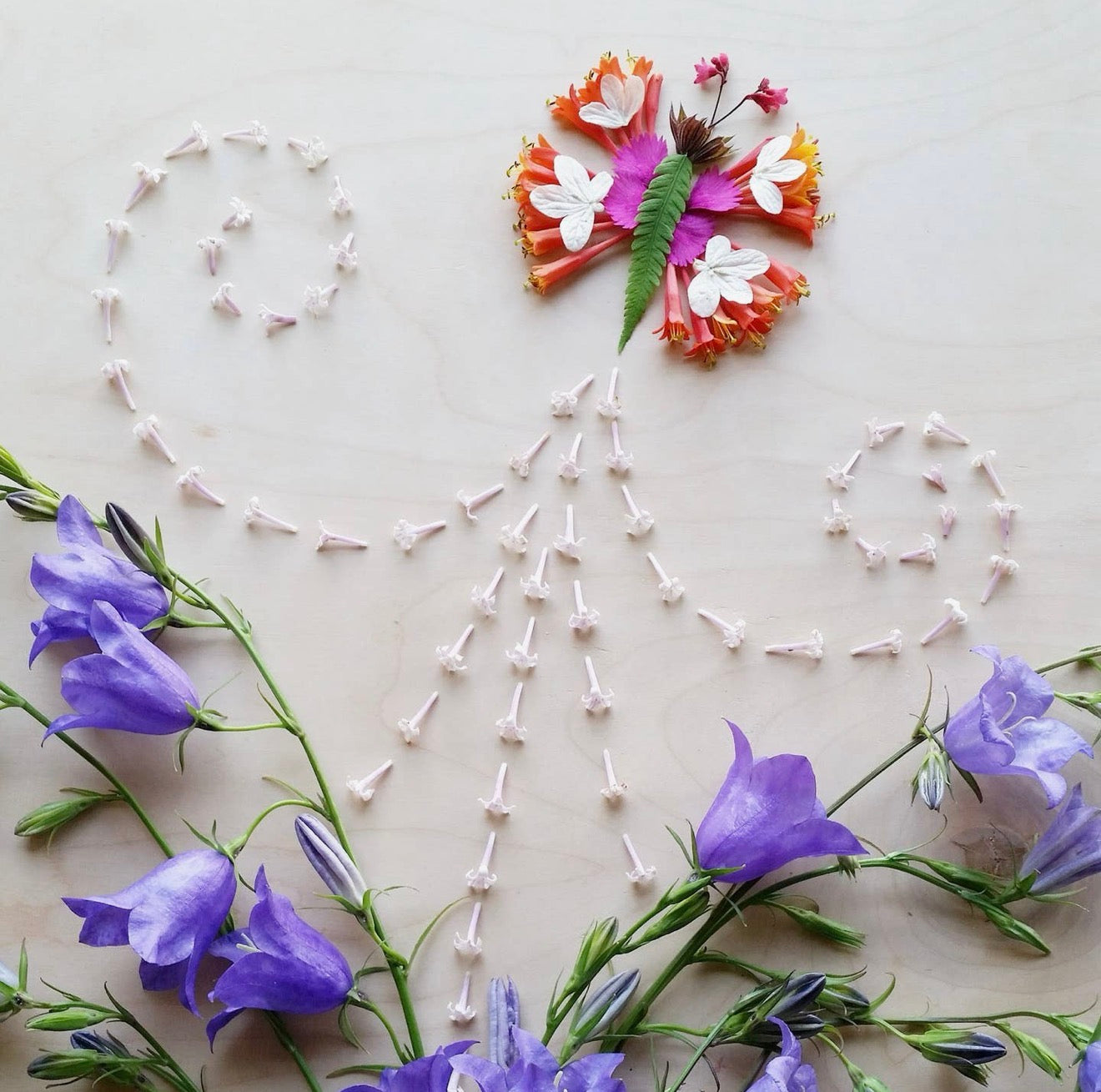 Nature Art Greeting Cards