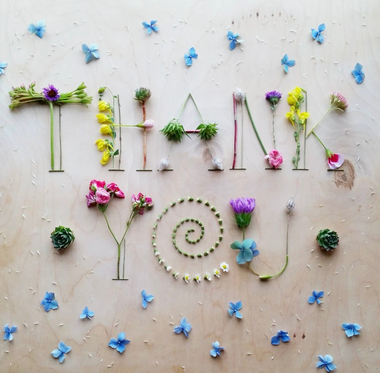 Nature Art Greeting Cards