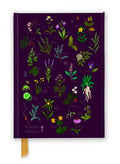 Anna Stead: For Spells & Potions Journal