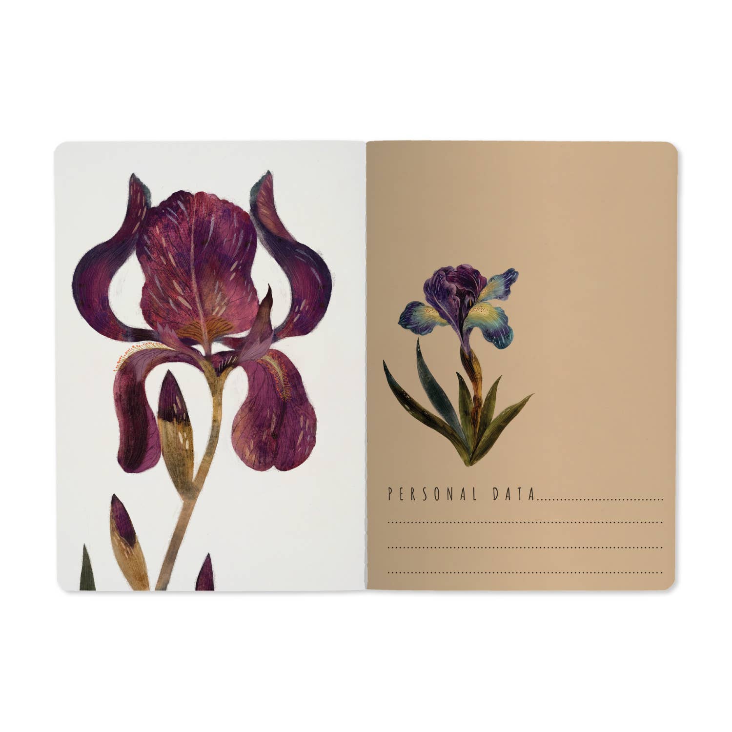 BV Notebooks by Bruno Visconti