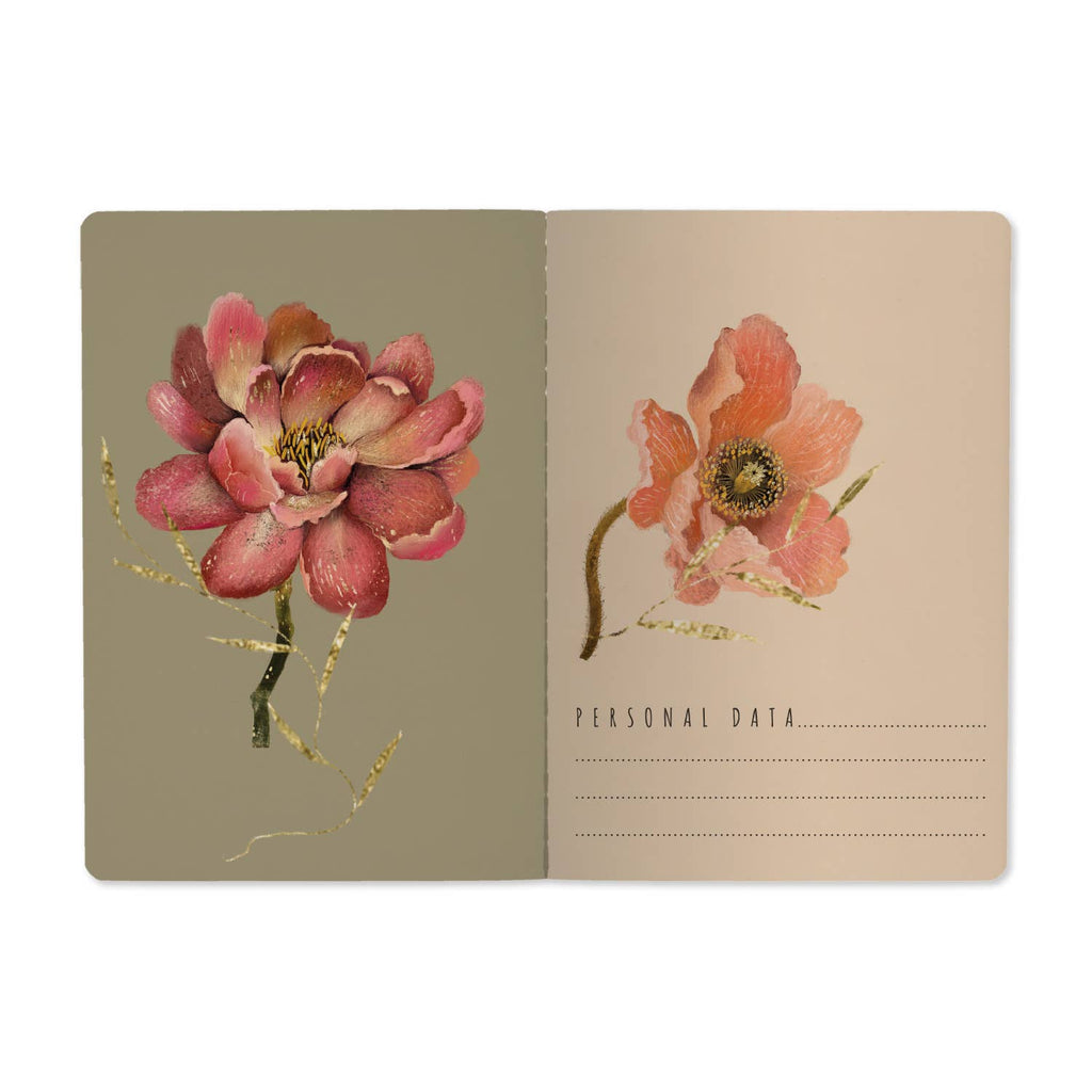 BV Notebooks by Bruno Visconti