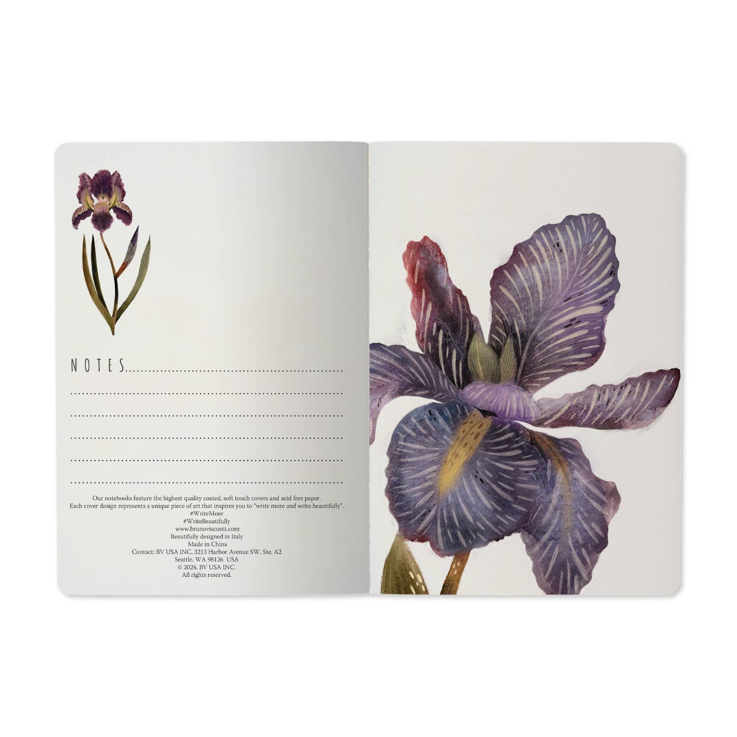 BV Notebooks by Bruno Visconti